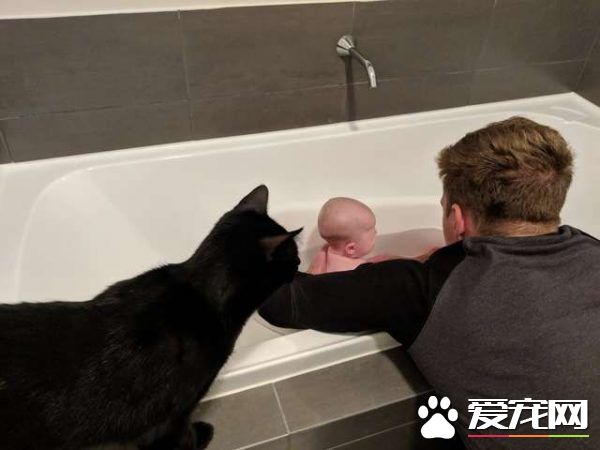 監視器里拍到史上最萌畫面 黑貓時刻陪伴妹妹