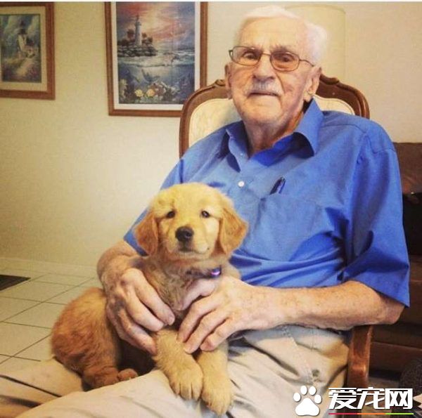 這組合超萌！ 美國87歲爺爺和愛犬扮天外奇跡