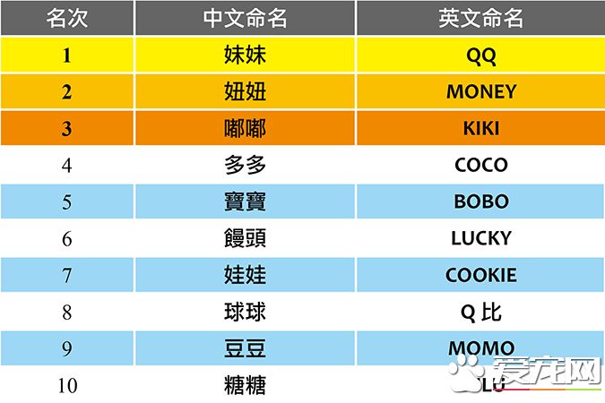 你知道臺灣人最喜歡幫狗狗取什麼名字嗎