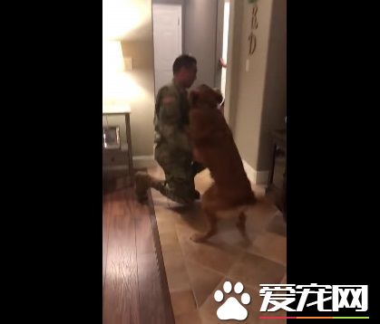 狗狗以為又玩無聊游戲了 竟然出現意外的驚喜
