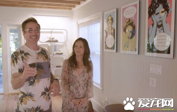 貓咪的魅力 讓不愛貓的小羅勃道尼化身超級貓奴