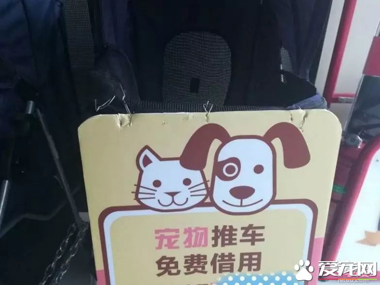 杭州一商場推出“寵物推車”，是人性化還是侵犯顧客權益？