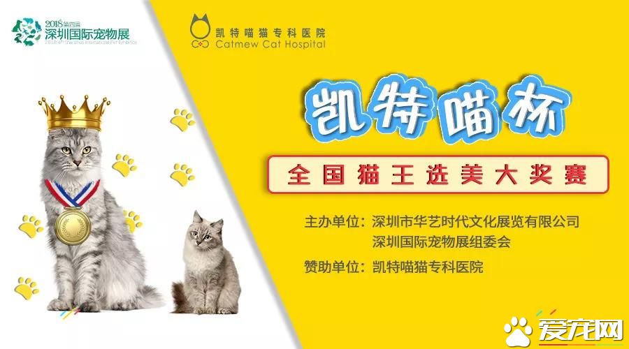 屬于鏟屎官們的年度盛會 2018第四屆深圳國際寵物展5月1日啟幕