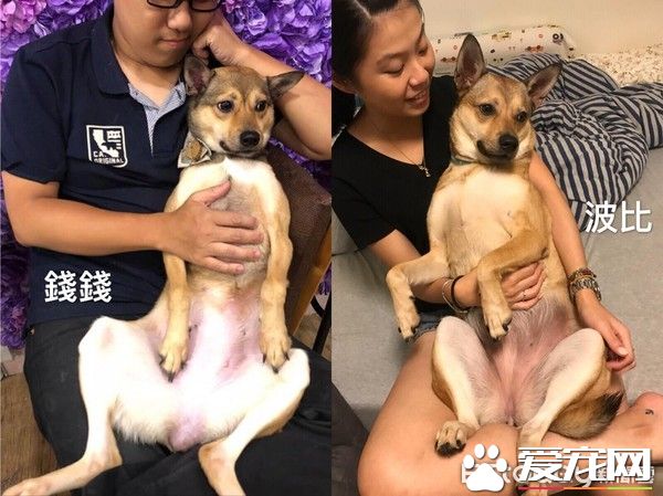 只是長的像還是真兄弟？緣分真奇妙