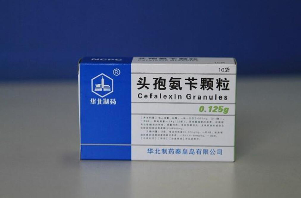 狗吃頭孢一次吃幾粒