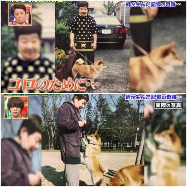 狗狗和主人都換上了老年癡呆 多年后的重逢 還會認得彼此嗎？