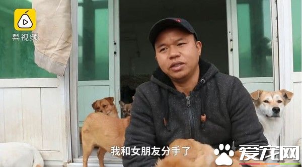 收養200多只浪浪 花光積蓄還和女友分手了