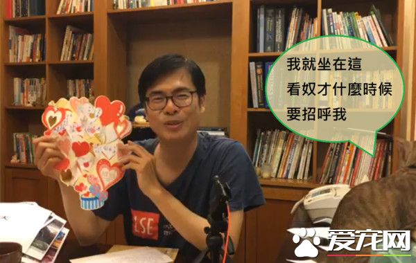 朕也想亮亮相! 愛貓亂入直播超會刷存在感