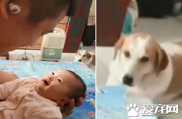 新爸和女兒在火星對話 汪星人一旁傻眼表情超搶鏡