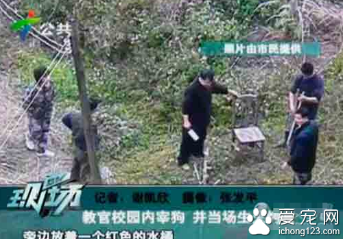 幾名教官在女生宿舍樓下合伙殺害狗烤食 遭到社會的譴責
