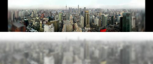 在貓咪的眼里，這個世界到底是什么顏色的？這幾張圖讓你了解