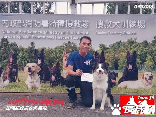 搜救犬瓦礫堆搜救5分鐘完成 曾遭棄養收容所