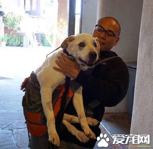 他帶著即將死亡的<a href=/zhonglei/gou/ target=_blank class=infotextkey>狗</a>狗去旅行 最后奇跡發生
