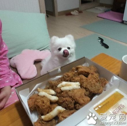 就在嘴邊卻吃不到 是對吃貨最大的侮辱