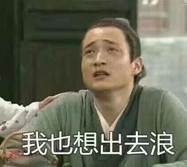 厭倦了早九晚五的工作 他決定騎自行車環球 半路卻發現一只流浪貓陪伴著他