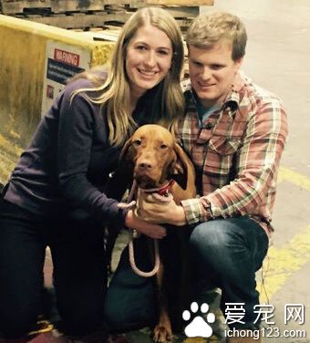 寵物犬走 歷經風險 終回歸主人身邊