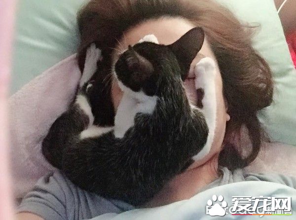好奇！給媽媽敷<a href=/zhonglei/mao/ target=_blank class=infotextkey>貓</a>面膜的比比是為了安全感么