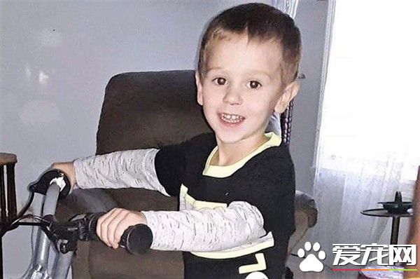 3歲的小男孩森林迷路 獲救稱一只熊照顧著他