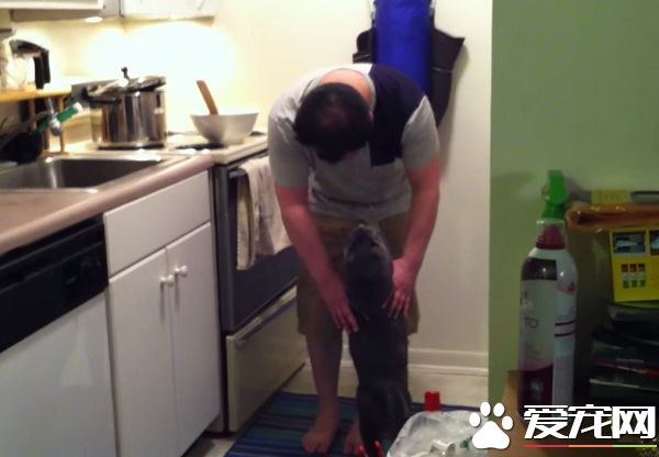看得人都要融化啦！超會撒嬌的喵星人