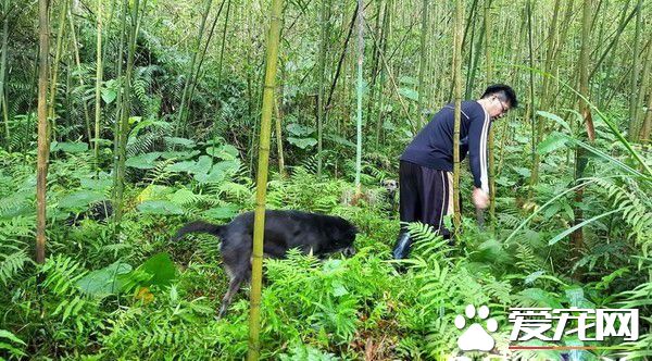 超甜蜜的負擔! 把拔背13公斤的愛犬下山