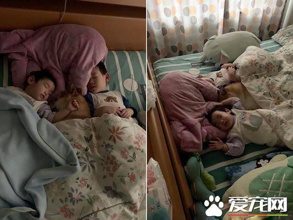 世界上最溫馨的畫面 阿柴塞2孩中間睡覺