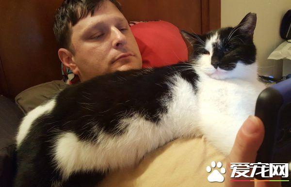 超自來熟小客人 第一次見面就用頭蹭人家的臉
