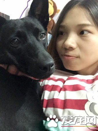 PO出自己與家中毛孩的合照 母女臉相似度高達99%