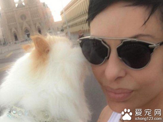 妹子將去世寵物貓做防腐處理 從此形影不離