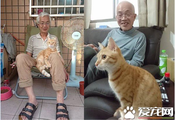 浪喵被阿公收編后成心肝寶貝 常上演祖孫情的戲碼