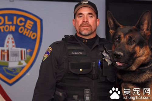 警犬英勇殉職 民眾紛紛寄信到警局表示哀悼