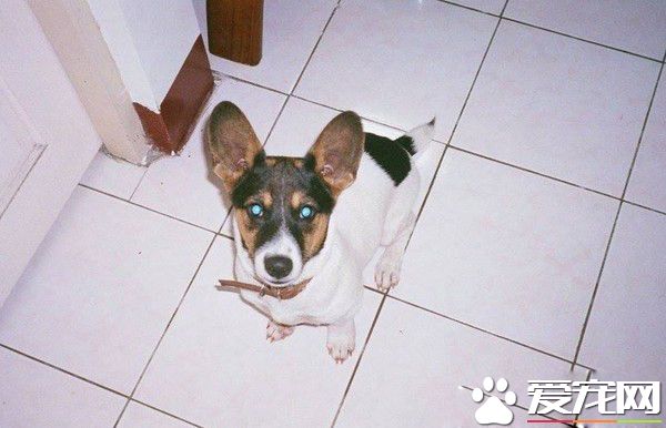 時間與回憶都靜止了 谷歌地圖帶你回憶過去