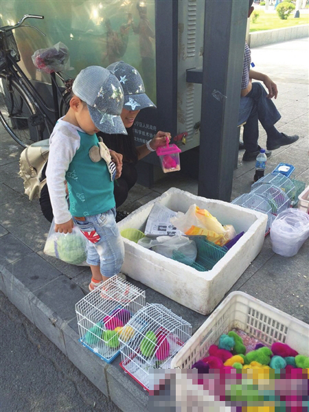 新潮和個性的<a href=/ target=_blank class=infotextkey>寵物</a>愛好者掀起了飼養另類寵物的熱潮