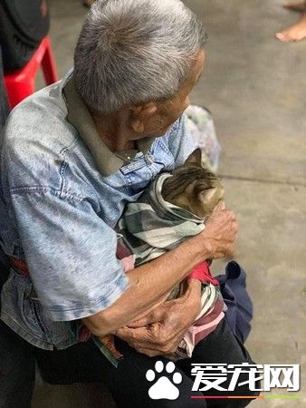 臺風來襲泰國南部 老爺爺緊緊抱著愛貓逃難