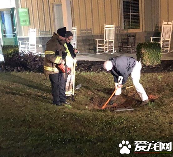 明星貓的雨天驚魂記 被困下水道獲消防隊解救