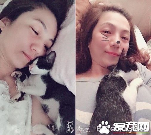 好奇！給媽媽敷貓面膜的比比是為了安全感么