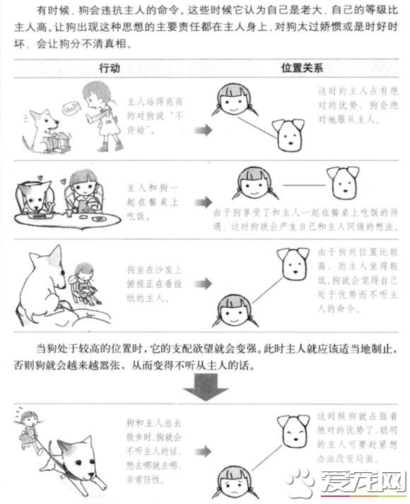 懂狗才能教狗