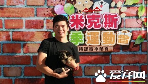 臺中文心森林公園米克斯夏季運動會 為寵物找新家