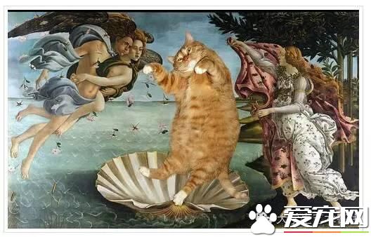 當寵物貓亂入名畫