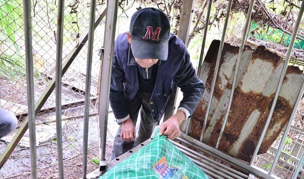 17只狗狗死亡成白骨 寵物店老板卻說是沒時間處理遺體