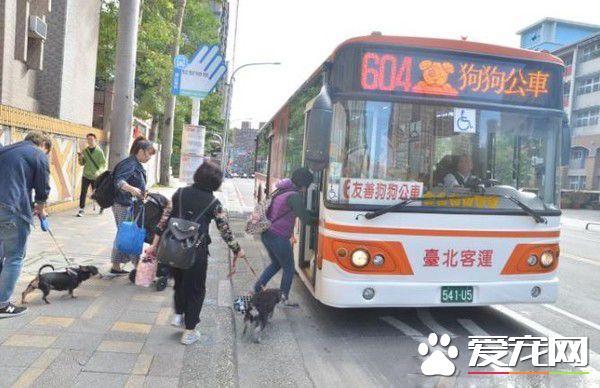 狗狗公交來了運營已近兩年 一起打造友善城市