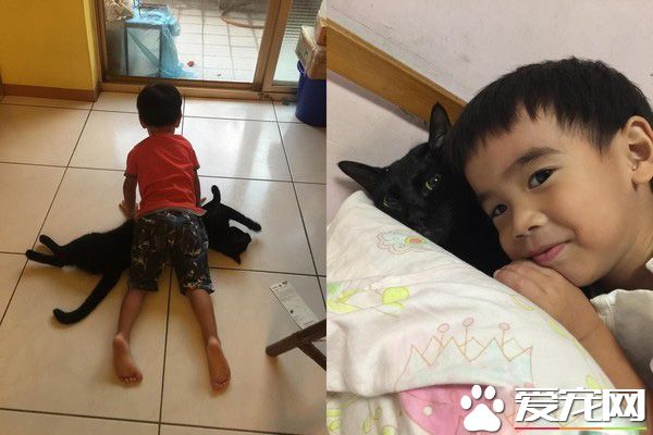 后腦勺好聞嗎? 萌娃抱黑貓后腦勺狂吸