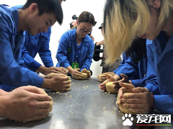 這個怪東西能吃? 試10天熊貓才愿吃水煮蛋