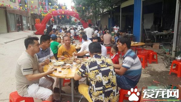 廣西一金毛生10只小狗 主人高興擺酒慶祝