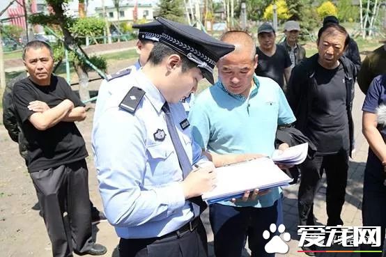 諸多“猛犬”禁養 哈爾濱每戶限養一只狗狗