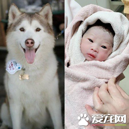 我們的緣分還沒結束 愛犬離世后夢小嬰兒對我笑