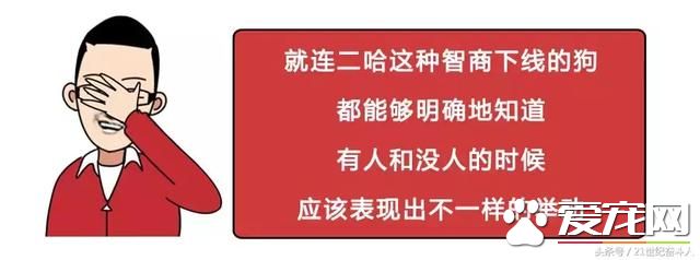 狗是否知道自己是狗？