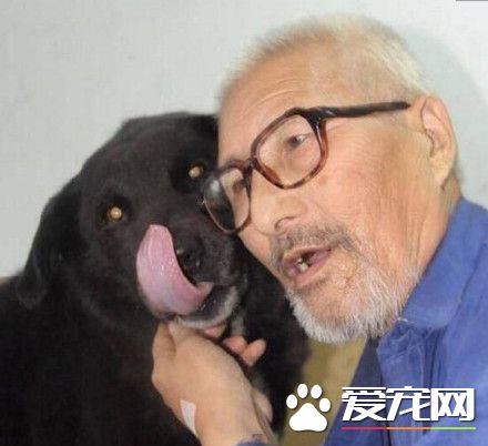 怕死后沒人照顧 老翁全部財產都留給愛犬