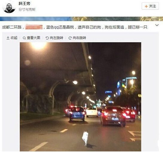瘸腿小狗“被遺棄”引熱議 當事人出面發言