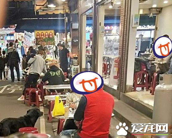 黑狗沿桌討飯超專業 吃完一輪再重頭來過