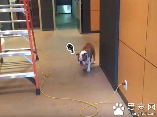 遇到最害怕的電線跟梯子該怎么辦呢？